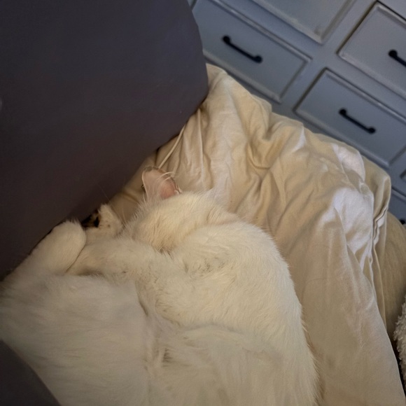 Black Ribbed Swimsuit - Picture 3 of 3